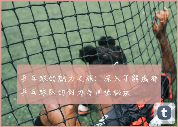 乒乓球的魅力之旅：深入了解成都乒乓球队的耐力与训练秘诀