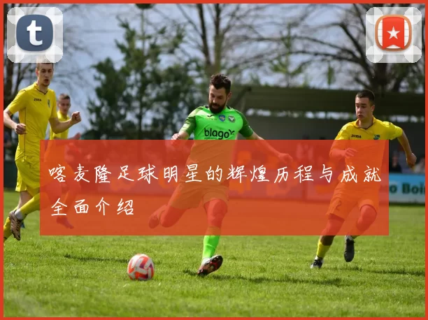 喀麦隆足球明星的辉煌历程与成就全面介绍