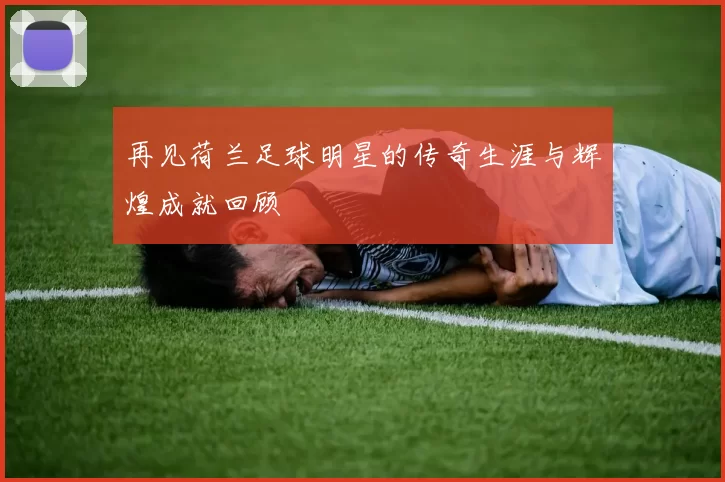再见荷兰足球明星的传奇生涯与辉煌成就回顾
