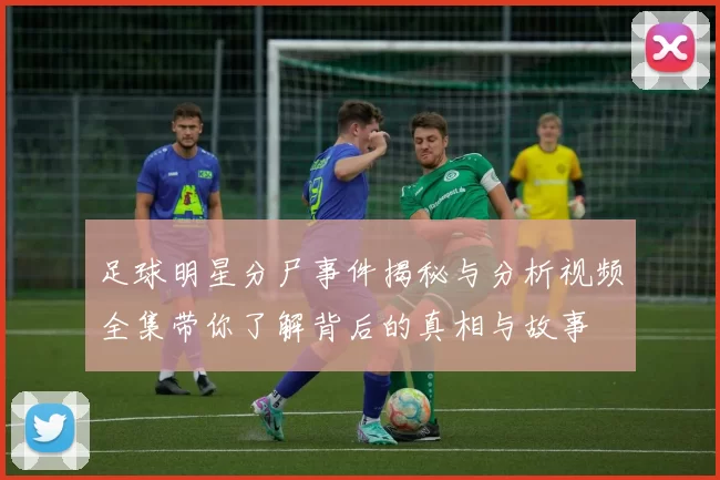 足球明星分尸事件揭秘与分析视频全集带你了解背后的真相与故事