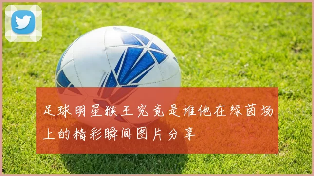 足球明星猴王究竟是谁他在绿茵场上的精彩瞬间图片分享