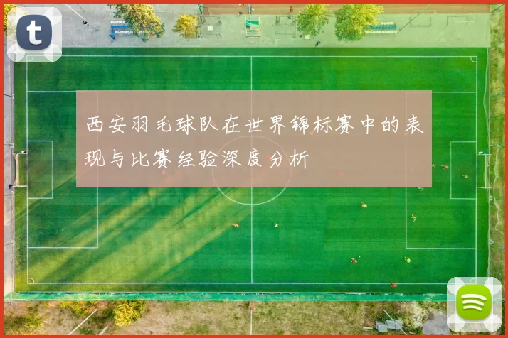 西安羽毛球队在世界锦标赛中的表现与比赛经验深度分析