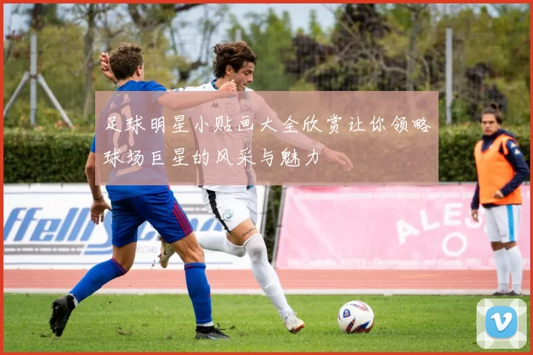 足球明星小贴画大全欣赏让你领略球场巨星的风采与魅力