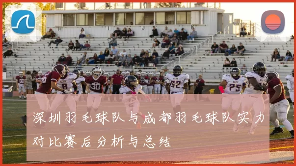 深圳羽毛球队与成都羽毛球队实力对比赛后分析与总结