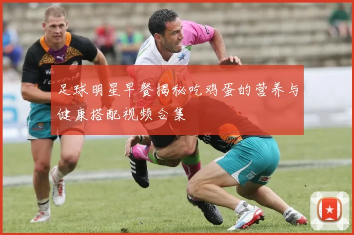 足球明星早餐揭秘吃鸡蛋的营养与健康搭配视频合集