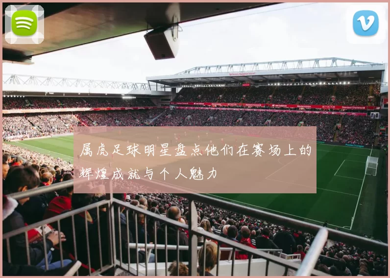 属虎足球明星盘点他们在赛场上的辉煌成就与个人魅力
