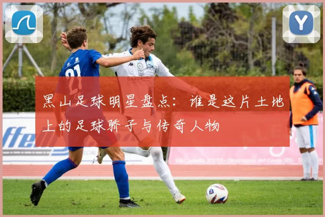 黑山足球明星盘点：谁是这片土地上的足球骄子与传奇人物