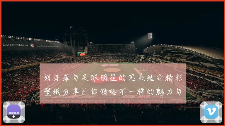 刘亦菲与足球明星的完美结合精彩壁纸分享让你领略不一样的魅力与风采