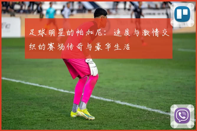 足球明星的帕加尼：速度与激情交织的赛场传奇与豪华生活