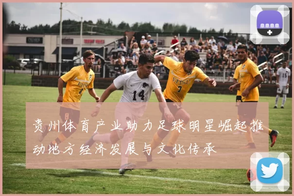 贵州体育产业助力足球明星崛起推动地方经济发展与文化传承