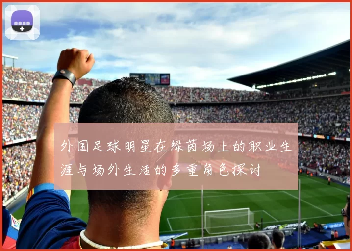 外国足球明星在绿茵场上的职业生涯与场外生活的多重角色探讨