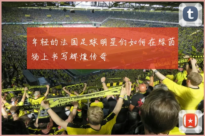 年轻的法国足球明星们如何在绿茵场上书写辉煌传奇