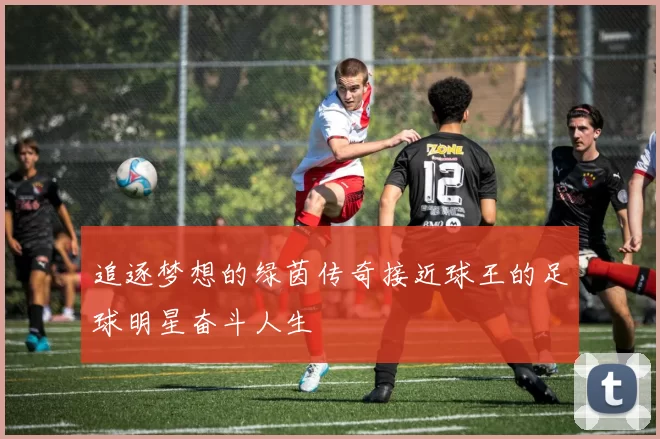 追逐梦想的绿茵传奇接近球王的足球明星奋斗人生